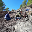 Grupo Mineralógico de Alicante. La Escarabehuela. Enguidanos. Cuenca  