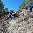 Grupo Mineralógico de Alicante. La Escarabehuela. Enguidanos. Cuenca  