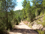 Grupo Mineralógico de Alicante. La Escarabehuela. Enguidanos. Cuenca  