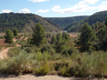 Grupo Mineralógico de Alicante. La Escarabehuela. Enguidanos. Cuenca  