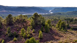 Grupo Mineralógico de Alicante. Los Yesares. Camporrobles. Valencia 