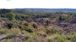 Grupo Mineralógico de Alicante. Los Yesares. Camporrobles. Valencia 