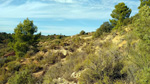 Grupo Mineralógico de Alicante. Los Yesares. Camporrobles. Valencia 