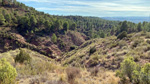 Grupo Mineralógico de Alicante. Los Yesares. Camporrobles. Valencia 