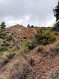 Grupo Mineralógico de Alicante.Los Yesares. Camporrobles. Valencia