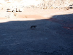 Grupo Mineralógico de Alicante. Explotación de yeso Las Viudas I. La Alcoraia. Alicante