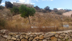 Grupo Mineralógico de Alicante. Pantano de Crevillente. Alicante  