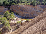 Grupo Mineralógico de Alicante.   Domeño. Valencia  