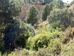 Grupo Mineralógico de Alicante.   Domeño. Valencia  