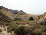 Grupo Mineralógico de Alicante. Canteras de arcilla situadas en la Zona del Pla, junto a la siera de los Tajos. Agost. Alicante