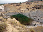 Grupo Mineralógico de Alicante.Canteras de arcilla situadas en la Zona del Pla, junto a la siera de los Tajos. Agost. Alicante 