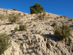 Grupo Mineralógico de Alicante. Paraje de El Salt.Jijona. Alicante 