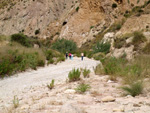 Grupo Mineralógico de Alicante.Paraje los Terreros. Valle de Ricote.Ojós. Murcia.