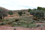 Grupo Mineralógico de Alicante. Afloramiento del Keuoer de Loma Badá. Petrer. Alicante