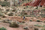 Grupo Mineralógico de Alicante. Afloramiento del Keuoer de Loma Badá. Petrer. Alicante