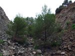 Grupo Mineralógico de Alicante. Cantera Barranco de la Mola. Sierra de Olta, Calpe. Alicante