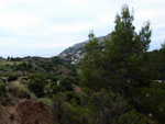 Grupo Mineralógico de Alicante. Cantera Barranco de la Mola. Sierra de Olta, Calpe. Alicante