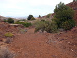 Zona los Pajaritos. Llano del Beal - La Unión - Sierra minera de Cartagena y la Unión - Murcia