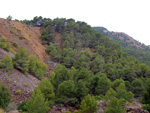 Zona los Pajaritos. Llano del Beal - La Unión - Sierra minera de Cartagena y la Unión - Murcia