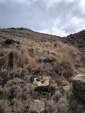 Grupo Mineralógico de Alicante.  Zona los Pajaritos. Llano del Beal - La Unión - Sierra minera de Cartagena y la Unión - Murcia 