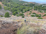 Zona los Pajaritos. Llano del Beal - La Unión - Sierra minera de Cartagena y la Unión - Murcia