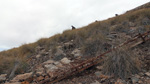   Cantera de Áridos de Sodira. Busot. Alicante