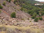   Cantera de Áridos de Sodira. Busot. Alicante