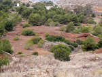   Calcita. Cantera de Áridos de Sodira. Busot. Alicante