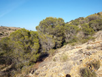   Minas de Ocre de Serra Pelada. El Sabinar. San Vicente del Raspeig