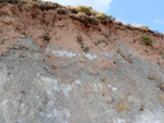 Afloramiento de rosas de Yeso, Loranca De Tajuña, Guadalajara