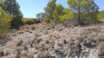 Afloramiento de aragonito. Casas de Ves. Albacete