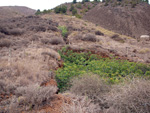 Mina Rómulo. Collado La Mina, Llano del Beal, Cartagena, Murcia Murcia