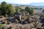 Cantera Fuentecilla, Cabezo del Polovar, Villena, Comarca Alto Vinalopó, Alicante 