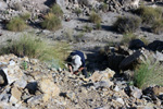 Cantera Fuentecilla, Cabezo del Polovar, Villena, Comarca Alto Vinalopó, Alicante 