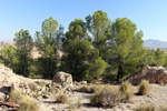 Cantera Fuentecilla, Cabezo del Polovar, Villena, Comarca Alto Vinalopó, Alicante  