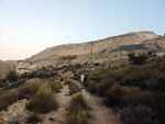 Cantera Cabezoncillo, Cabeçonet/Alto del Salmitre. Busot. Alicante  