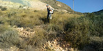 Cantera Cabezoncillo, Cabeçonet/Alto del Salmitre. Busot. Alicante 