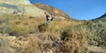 Cantera Cabezoncillo, Cabeçonet/Alto del Salmitre. Busot. Alicante 