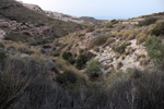 Cantera Cabezoncillo, Cabeçonet/Alto del Salmitre. Busot. Alicante  