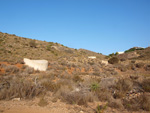 Barranco Las Nogueras. Campos de Golf, Atamaría, Cartagena, Murcia  