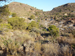 Barranco Las Nogueras. Campos de Golf, Atamaría, Cartagena, Murcia  