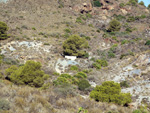   Barranco Las Nogueras. Campos de Golf, Atamaría, Cartagena, Murcia  