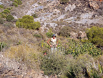   Barranco Las Nogueras. Campos de Golf, Atamaría, Cartagena, Murcia