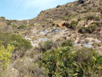    Barranco Las Nogueras. Campos de Golf, Atamaría, Cartagena, Murcia