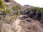   Barranco Las Nogueras. Campos de Golf, Atamaría, Cartagena, Murcia