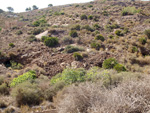    Barranco Las Nogueras. Campos de Golf, Atamaría, Cartagena, Murcia