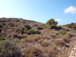  Barranco Las Nogueras. Campos de Golf, Atamaría, Cartagena, Murcia