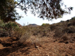  Barranco Las Nogueras. Campos de Golf, Atamaría, Cartagena, Murcia