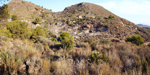 Barranco Las Nogueras. Campos de Golf, Atamaría, Cartagena, Murcia  