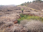 Mina Rómulo, Collado La Mina, Llano del Beal, Cartagena, Murcia 